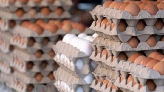Poultry farmers to ignore price control on eggs