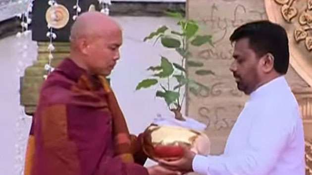 President revives centuries-old tradition with Sri Maha Bodhi sapling presentation