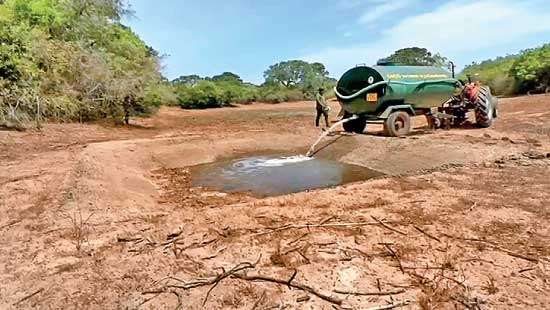 Dry spell experienced in Wilpattu and Yala sanctuaries