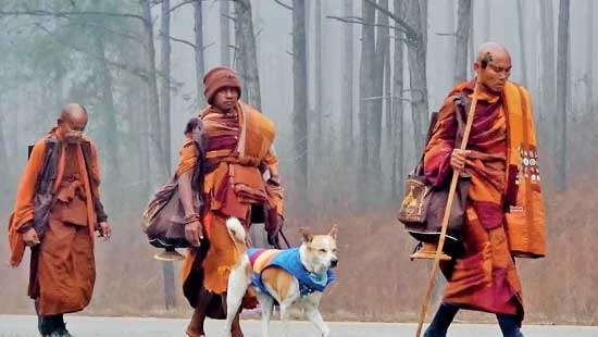 Aloka’s journey with Buddhist monks for ‘Global Peace’ generates huge following on  social media