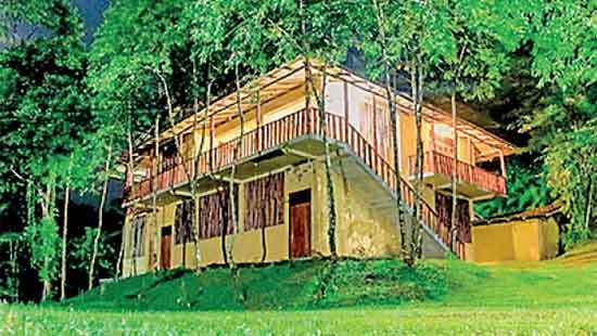 Sinharaja Eco Lodge to promote mindful tourism