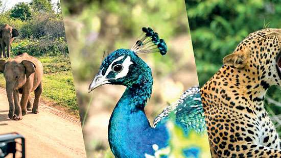 SL among the first countries to advance large-scale biodiversity management