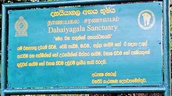 Dahaiyagala Elephant Corridor threatened by encroachment activities