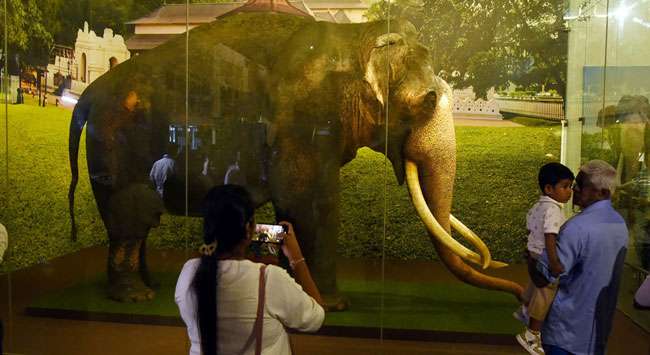 Nedungamuwe Raja open for public viewing