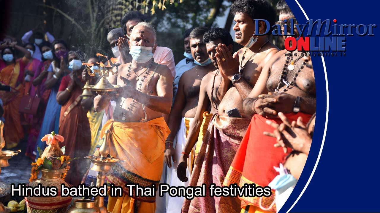 Hindus bathed in Thai Pongal festivities