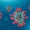 Four more COVID-19 patients recover