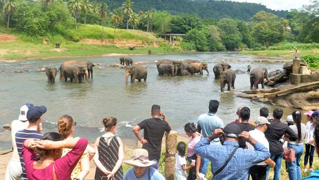 Tourists watch elephant bathing at Pinnawala Orphanage