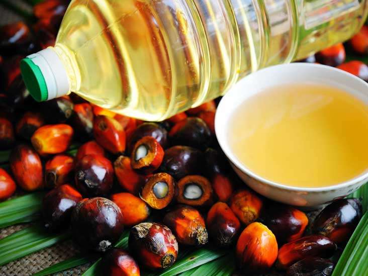 Malaysia irked by Sri Lanka’s palm oil import ban