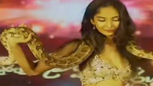 Python dance sparks legal action; suspect released on bail