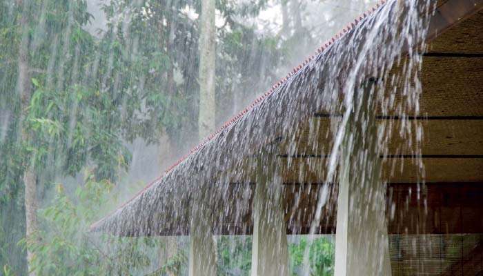 Met. predicts rain
