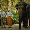 Walk with an Elephant’ launched at Pinnawala