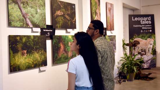 ’Leopard Tales’ exhibition unveiled