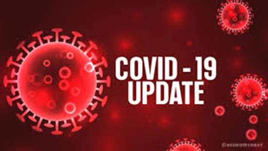 536 more Covid-19 cases reported