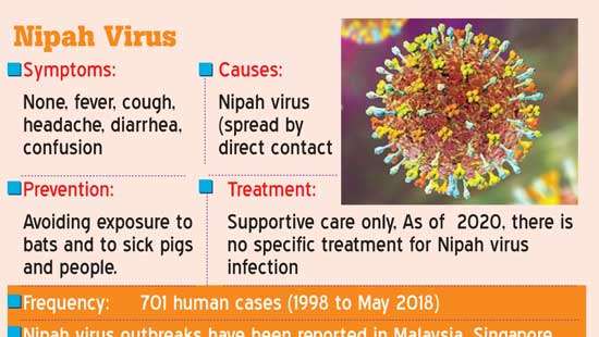 Medics put Sri Lanka in low risk category in combatting Nipah virus