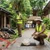 One-third of schools inspected flagged for dengue risk