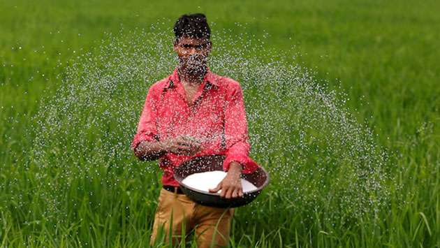 India in talks with Russia, Belarus, Morocco to boost fertiliser imports, sources say