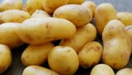 Tax to be imposed on imported potatoes
