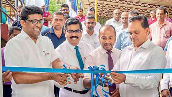 Dipped Products’ 50th year focuses on regional healthcare, education and community resilience