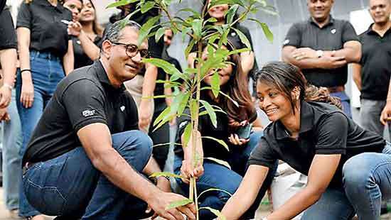 NTB’s Urban Forestry Initiative takes root for greener tomorrow