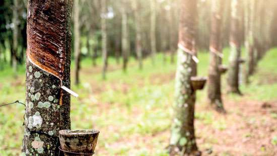 Rubber exports dip in April as production continues downward trend