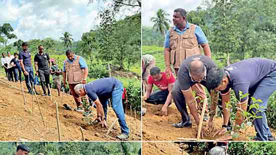 Basilur Tea marks Int’l Tea Day with Roots of Ceylon launch