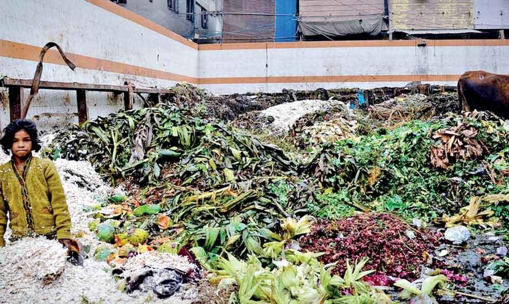 Day of Awareness of Food Loss and Waste: There’s a need to strengthen ...