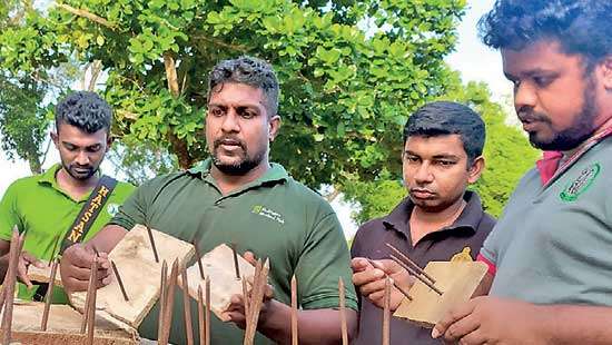 Attempt to kill wild elephant Suspect arrested for laying spiked planks in jungle track