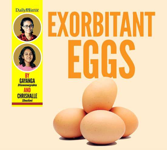 Exorbitant Eggs Now a luxury in many a Sri Lankan home