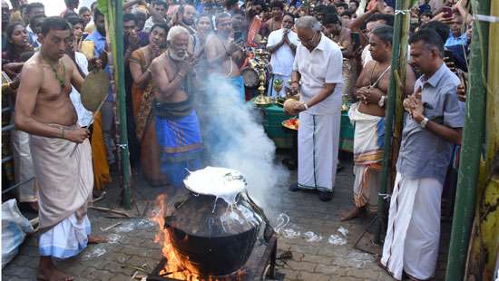 Celebrating Thai Pongal