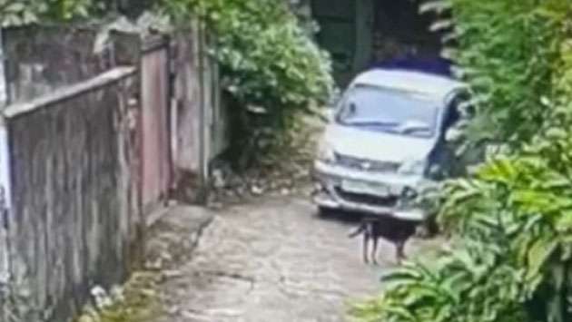 Woman remanded over alleged deliberate killing of street dog in Pannipitiya