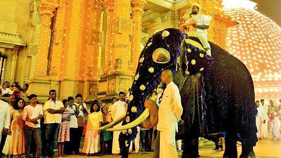 KELANIYA DURUTHU PERAHERA 2020