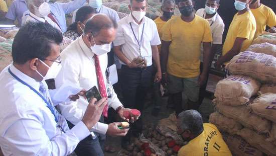 Beetroot smuggled inside potato shipment seized