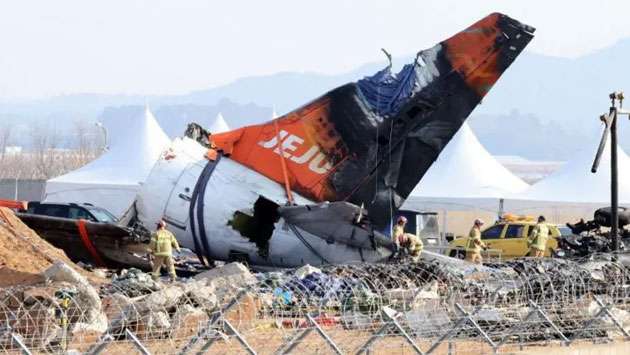 Duck DNA found in engines of South Korea plane that killed 179