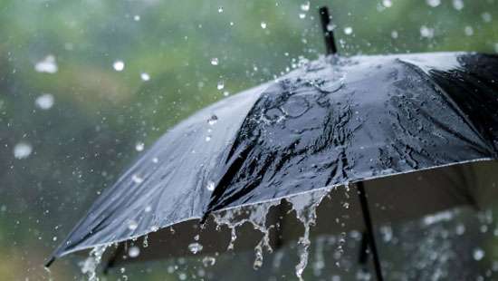 More showers on the cards in coming days