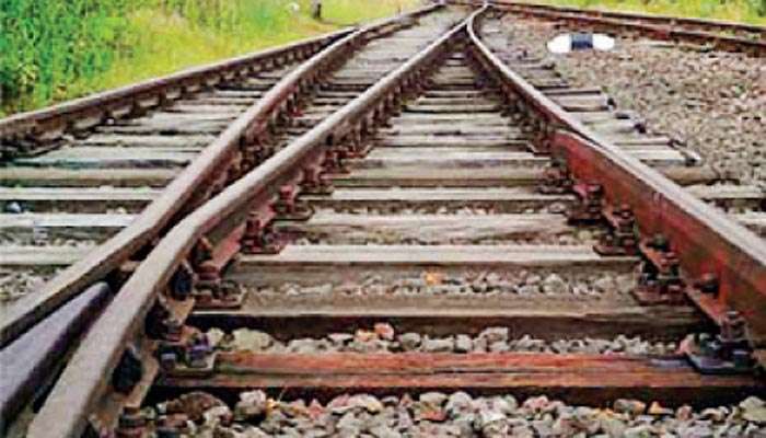 Timber track for greener ride
