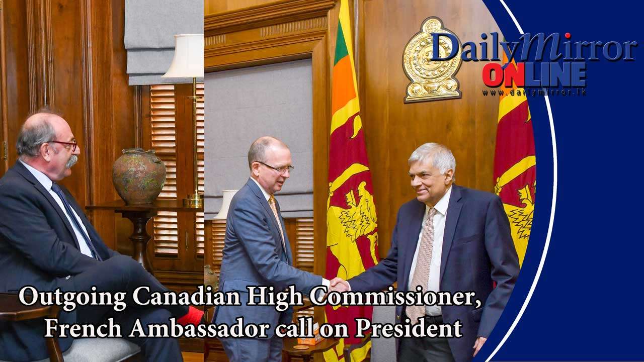 Outgoing Canadian High Commissioner, French Ambassador call on President