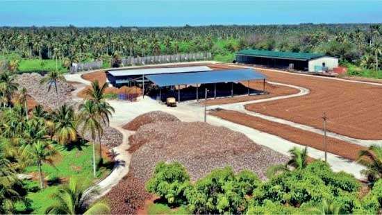 Hayleys Fibre commissions  Rs. 600mn coir processing facility to boost exports and rural jobs