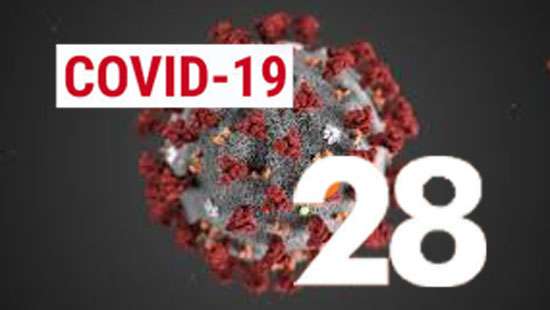 Six more COVID-19 patients diagnosed: Total rises to 28