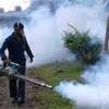 Fumigation against dengue is ineffective, harms bees and dragonflies: Entomologists