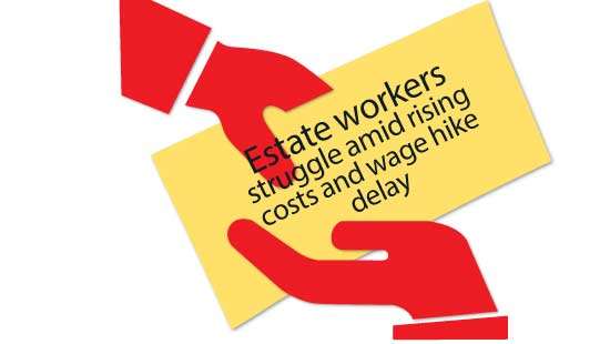 Estate workers struggle amid rising costs and wage hike delay