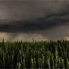 Crop insurance expanded due to climate volatility and extreme weather risks
