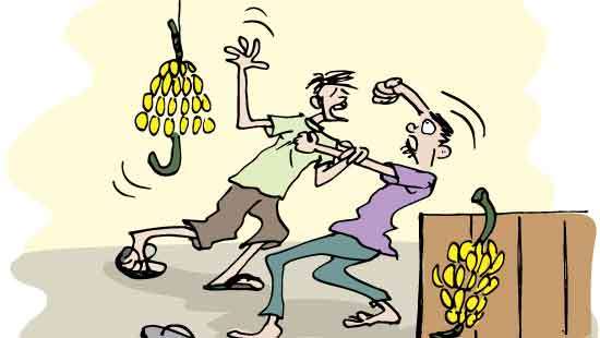 Hotel employee killed in 30-rupee banana brawl