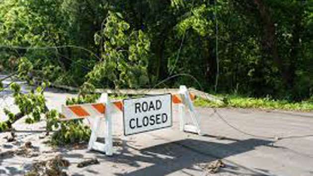 Passara–Namunukula road closed after pine trees fall