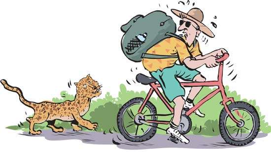 Tourist on bicycle has narrow shave with leopard