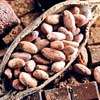 Global expansion of single-origin Sri Lankan chocolate a major struggle: Mendis