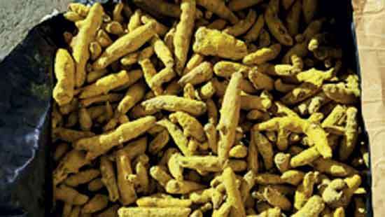 Customs seize large turmeric consignment