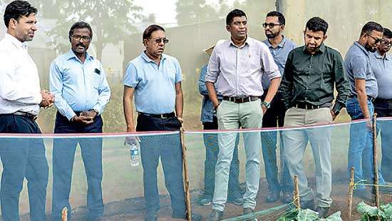 Top Syngenta officials vist island to strengthen ties with CIC