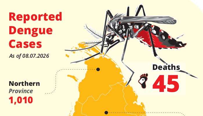Dengue puts PHIs in tight spot as frontline health workers fall ill