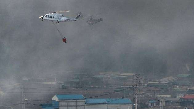 No Sri Lankans harmed by South Korea’s forest fires