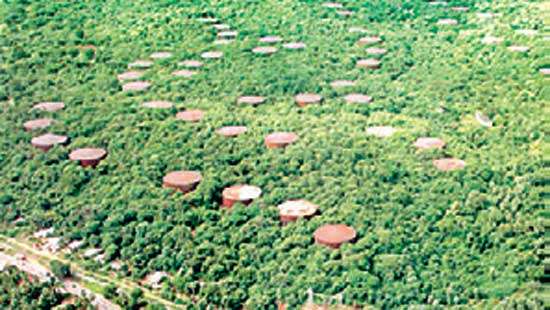 Agreement to develop Trinco Oil Tank Farm signed: Energy Minister